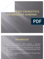 A Reposição Energética Da Máquina Humana