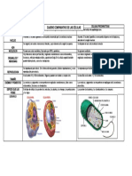 Cuadro Comparativo La Célula