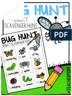 Insect Scavenger Hunt