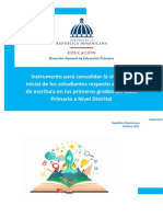 Instrumento para Consolidar Resultados de La DiagnÃ Stica A Nivel Distrital