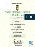 GESTION DEL DUELO Certificacion Del Curso Gestion Del Duelo 3250 1