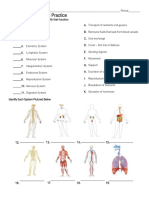 Human Body Systems Student Sheet-1