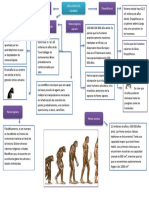Evolucion Del Hombre. Andreina Osio