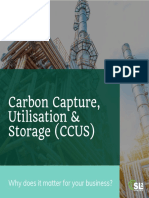 Carbon Capture, Utilisation & Storage (CCUS) : Why Does It Matter For Your Business?