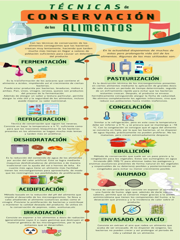 composición de las temperaturas de almacenamiento de alimentos 4903323  Vector en Vecteezy, image size:768x1024