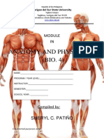 Anatomy and Physiology (BIO. 4) : Sheryl C. Patiño