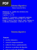 Sistema Digestorio