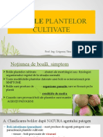 S 21 Bolile Plantelor Cultivate