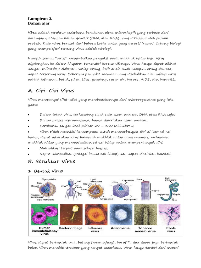 Penggabungan Virus dengan Sel Inang | PDF