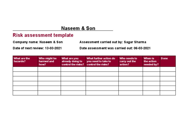 Naseem & Son Risk Assessment Template | PDF | Career & Growth | Business