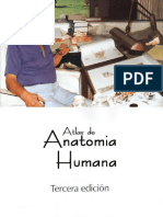 Atlas de Anatomia Humana Netter 7 PDF Free
