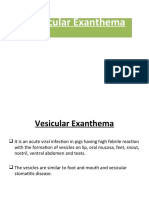 2012 Swine-Vesicular Exanthema