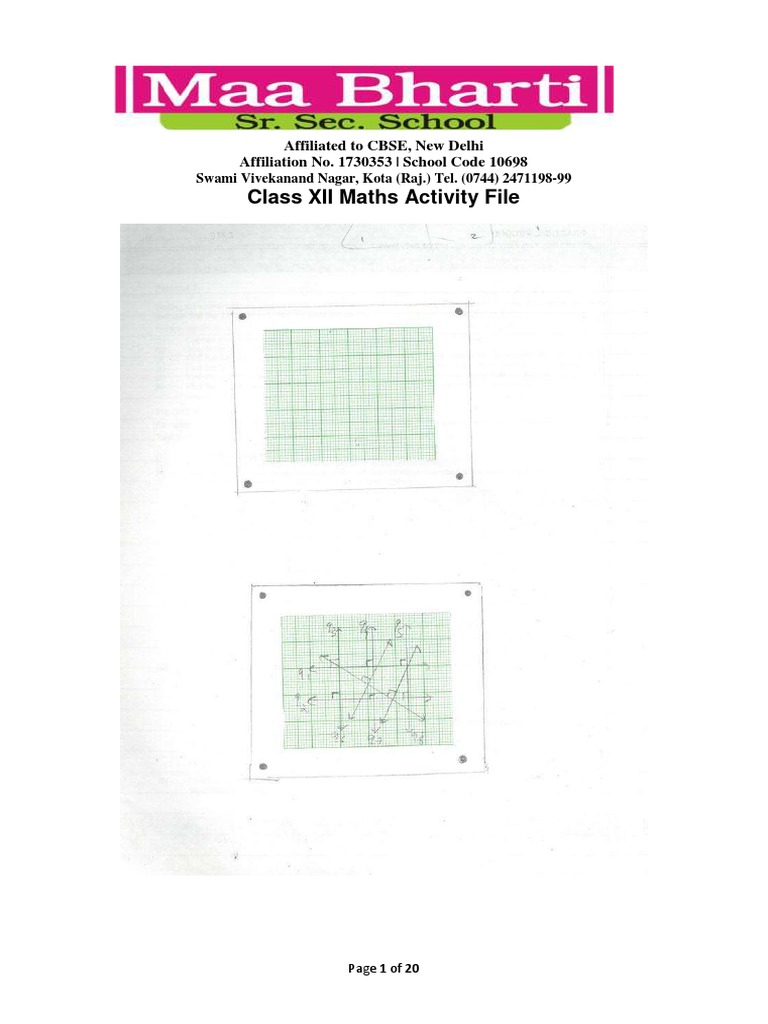Maths Practical File 2021-22 | PDF
