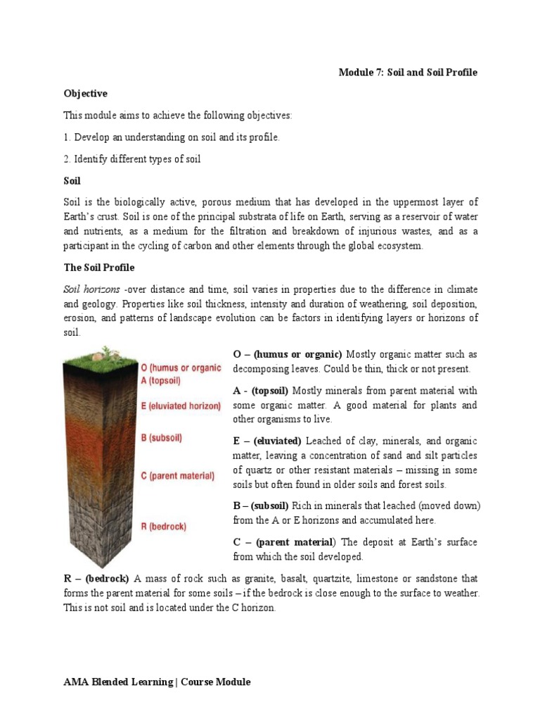 Module 7 - Soil | PDF | Soil | Clay