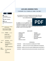 Curriculum - Vitae (Luis Axel Arandia Tapia) PDF