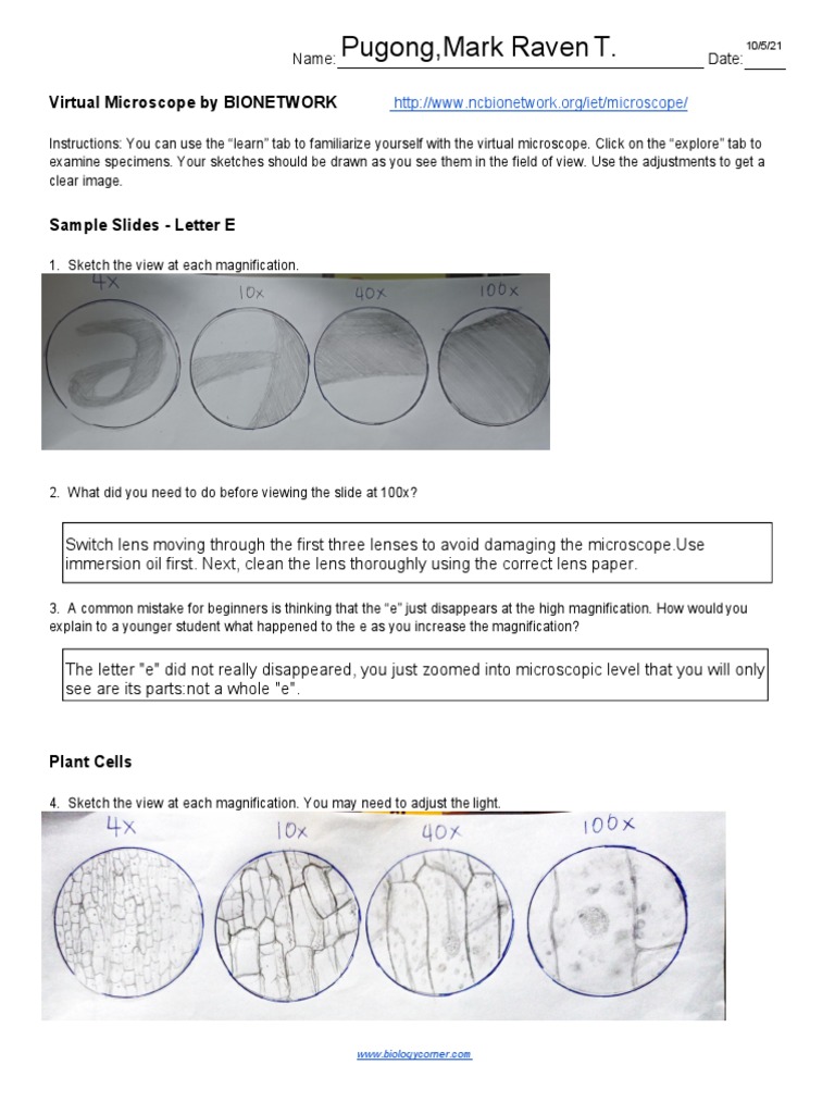 Virtual Microscope | PDF | White Blood Cell | Microscope