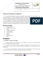 Estrutura do coração de um mamífero