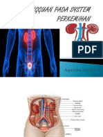 Gangguan Pada System Perkemihan