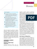 Chapter 22 Hypoxia 2017 Nunn S Applied Respiratory Physiology