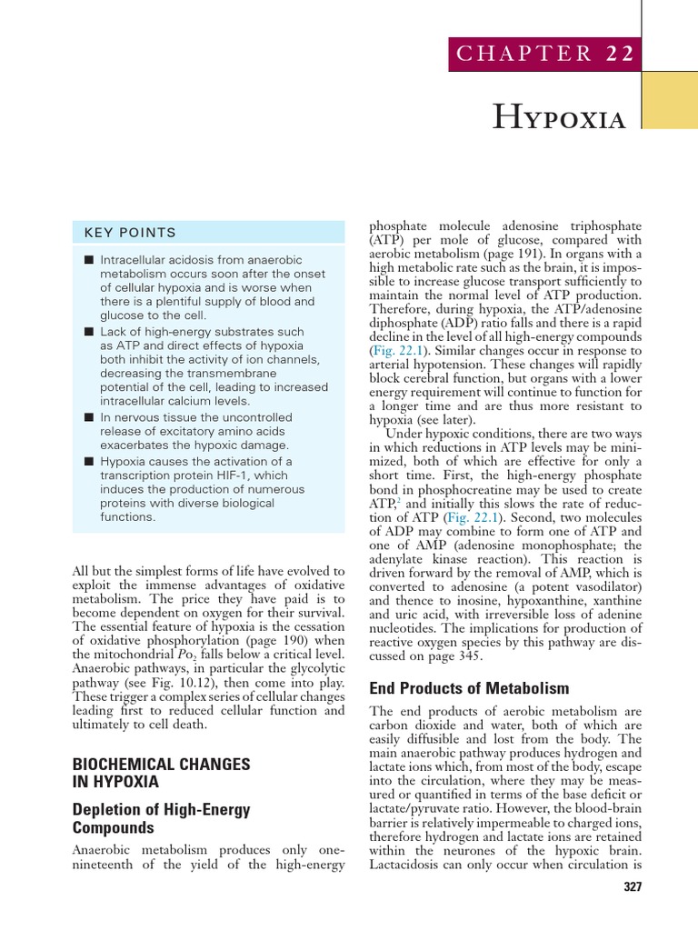 Chapter 22 Hypoxia 2017 Nunn S Applied Respiratory Physiology | PDF ...