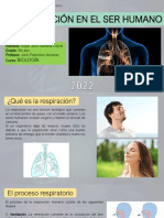 La Respiracion en El Ser Humano