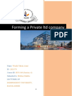 Forming Private Company - Project