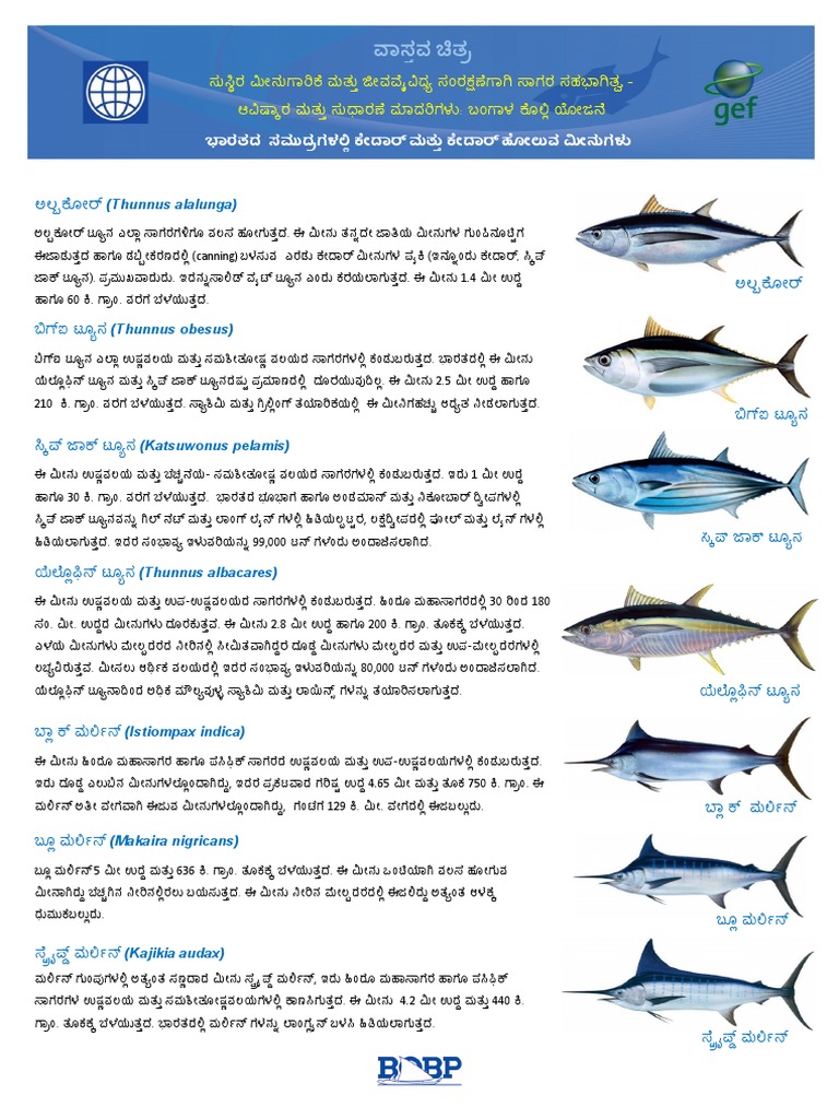 Kannada Tuna Fact Sheet Final To Press PDF
