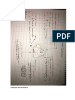 La Infografía Sofia Bornacelli 701