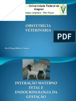 Endocrinologia Da Gestao e Int