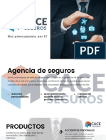 Portafolio Cace Seguros