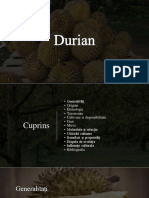 Durian