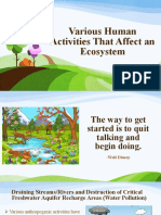 Various Human Activities That Affect An Ecosystem