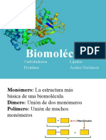 Biomoleculas