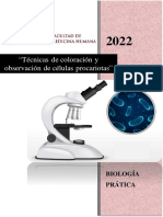 Biología Práctica Informe S3 