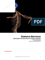 Sistema Nervioso ESTUDIANTE - Compressed