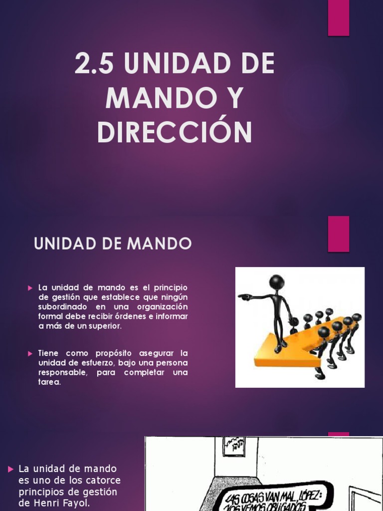 Unidad de Mando y Dirección en Fayol | PDF | Economias | Business