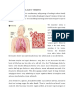 Anatomy and Physiology of The Lungs