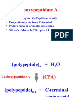 Carboxypeptidase A: Zn Peptidase Digestive Enzyme