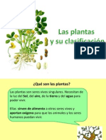 Las Plantas - 2