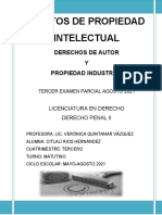 Delitos PI: Derechos autor y propiedad industrial