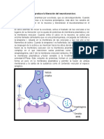 cuetionario bioq 2