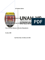 Tarea 1 Resumen Analitico Derechos Humanos