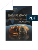 M. Cârciumaru, M. Anghelinu, E.-C. Nitu, M. Cosac, G. Murătoreanu, Geo-Archéologie du Paleolithique moyen, Pal.