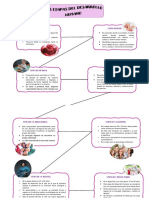 Mapa Del Desarrollo Humano PDF