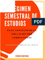 Ensayo - Libro Reg Semestral - GBB