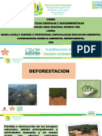 Deforestacion MLRG 2021