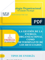 La gestión de la energía organizacional como determinante (2)