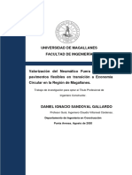 Trabajo de Investigación Daniel Sandoval Gallardo 2020 UMAG