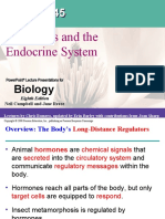 Hormones and The Endocrine System: Biology
