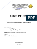Radio-Imagen Grupo 4